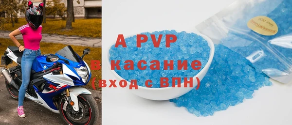 крисы Кодинск