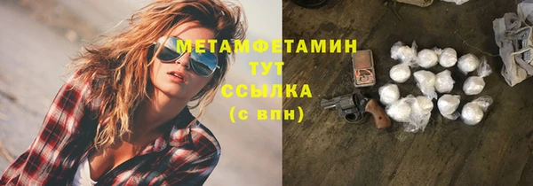 сатива Козловка